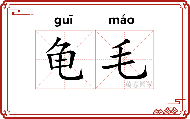 龟毛