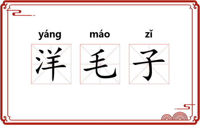 洋毛子 洋毛子