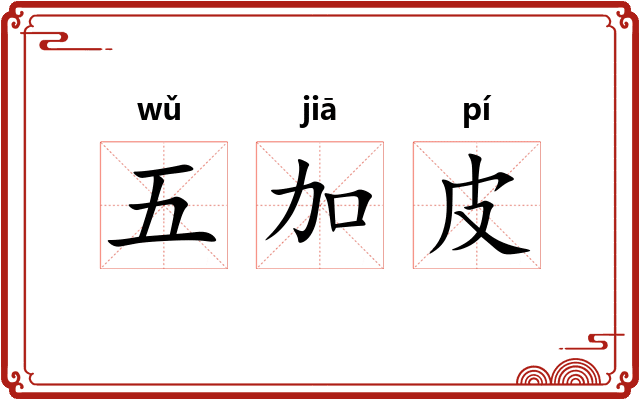 五加皮