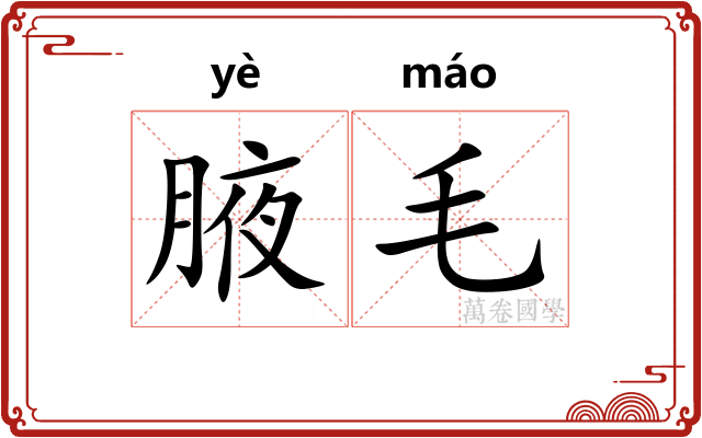 腋毛 腋毛