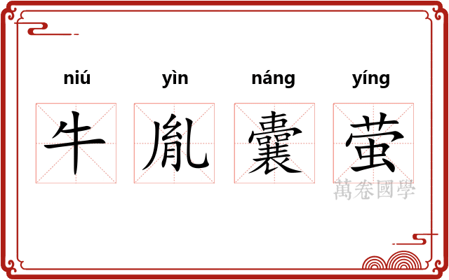 牛胤囊萤 牛胤囊萤