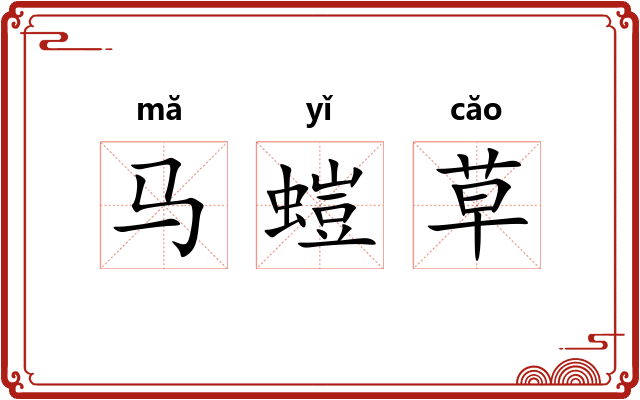 马螘草 马螘草