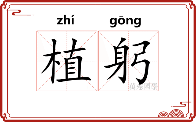 植躬