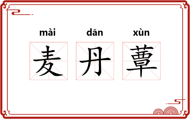 麦丹蕈 麦丹蕈