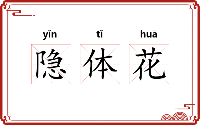 隐体花