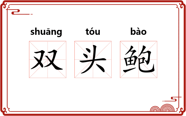 双头鲍
