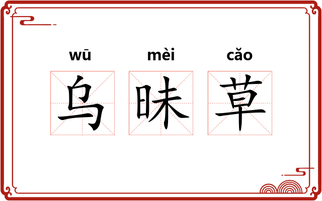 乌昧草