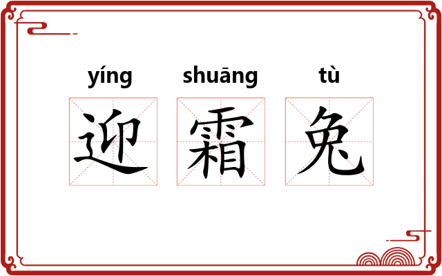 迎霜兔