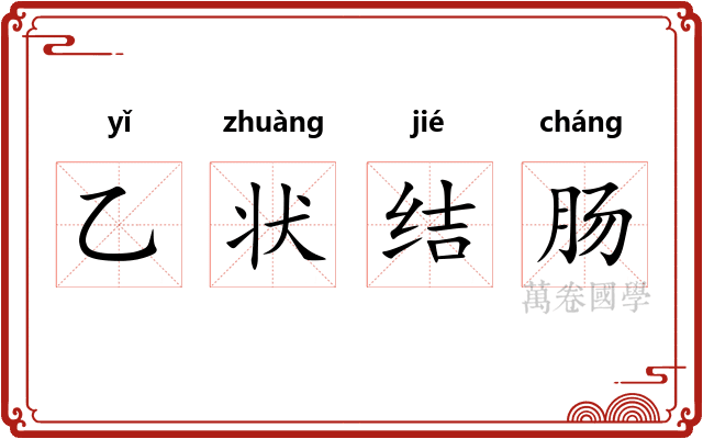 乙状结肠