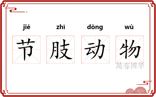 节肢动物 节肢动物