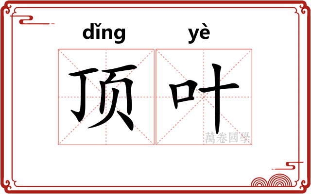 顶叶