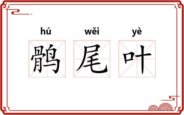 鹘尾叶 鹘尾叶