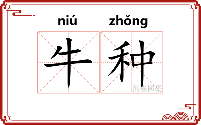牛种