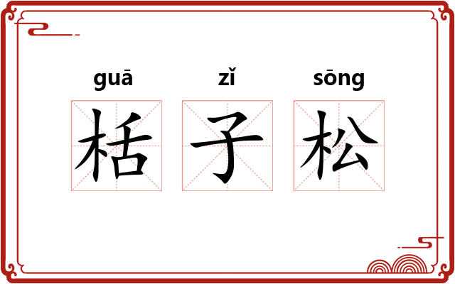 栝子松 栝子松