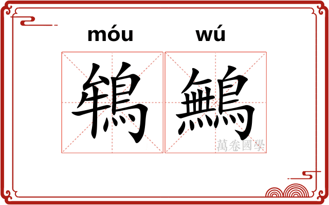 鴾鷡
