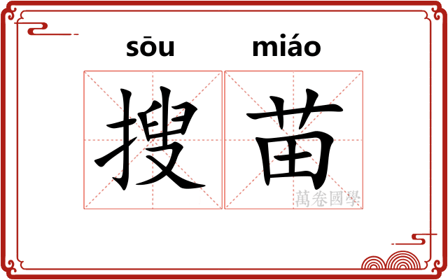 搜苗