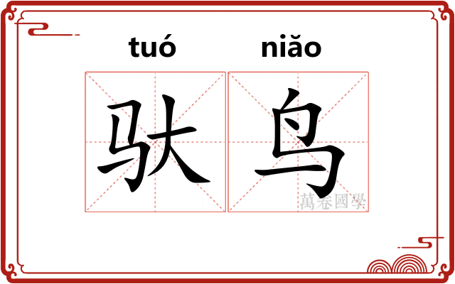 驮鸟