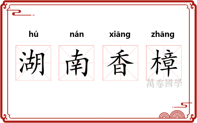 湖南香樟