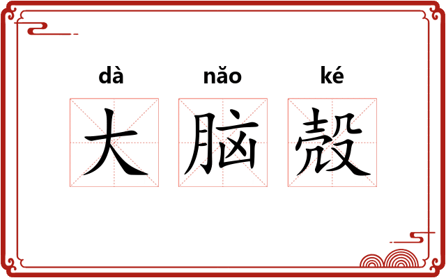 大脑殻