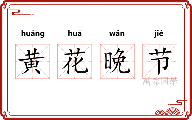 黄花晩节 黄花晩节