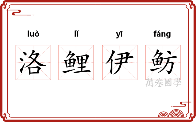 洛鲤伊鲂