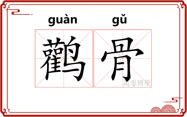 鹳骨