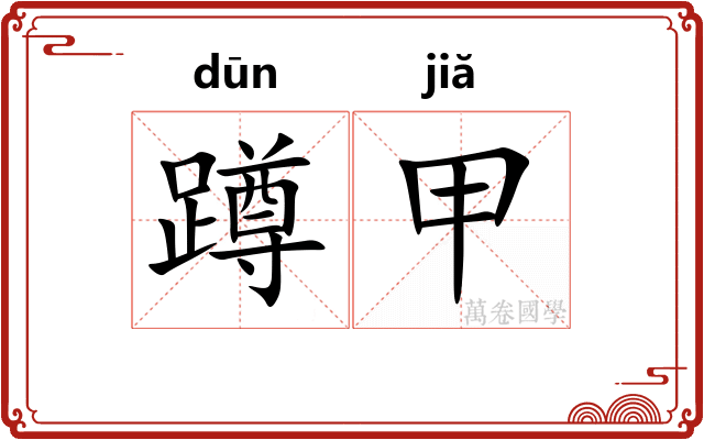 蹲甲