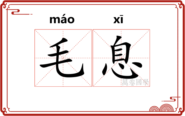 毛息 毛息
