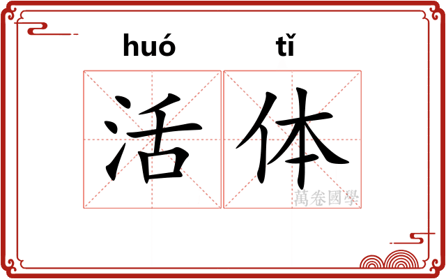 活体 活体