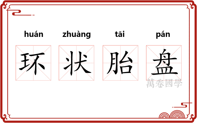 环状胎盘