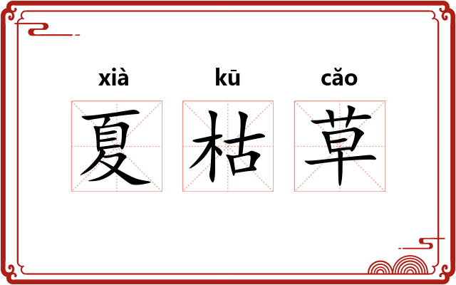 夏枯草