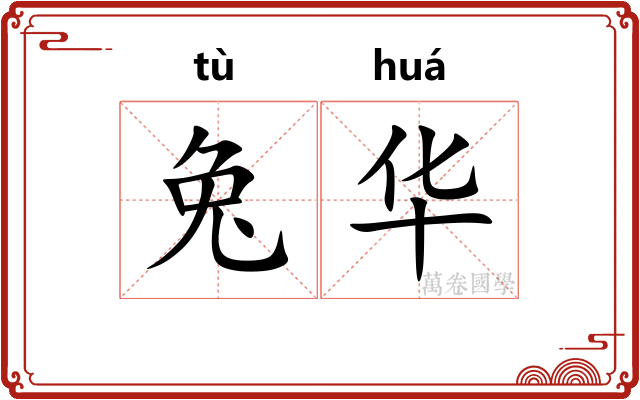 兔华