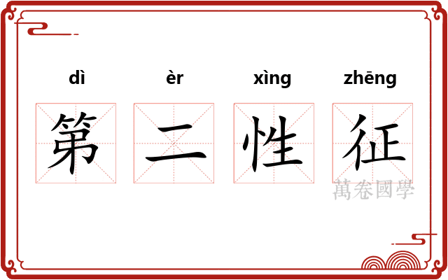 第二性征