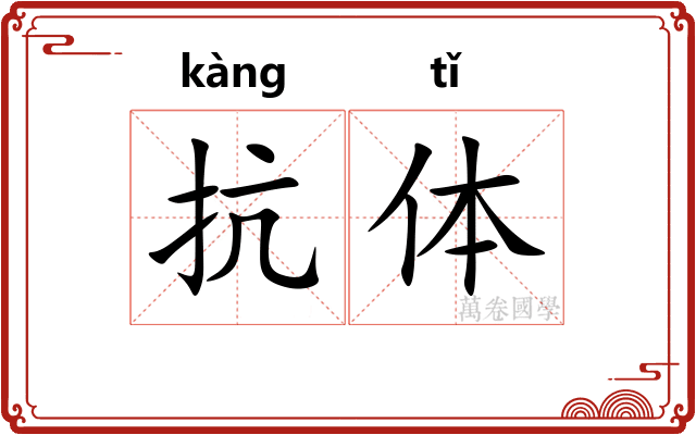 抗体