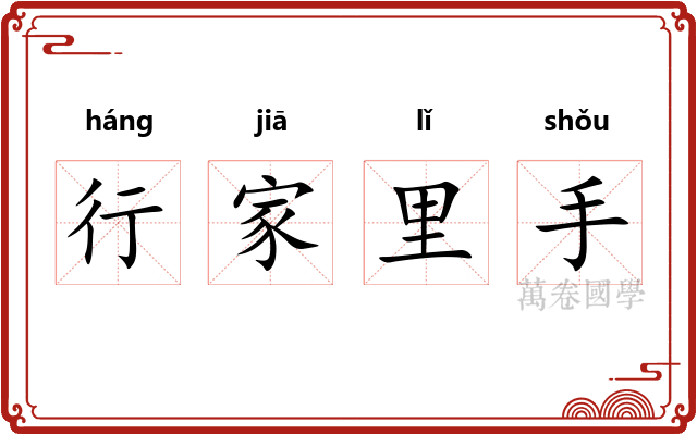 行家里手