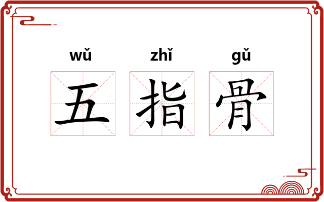 五指骨
