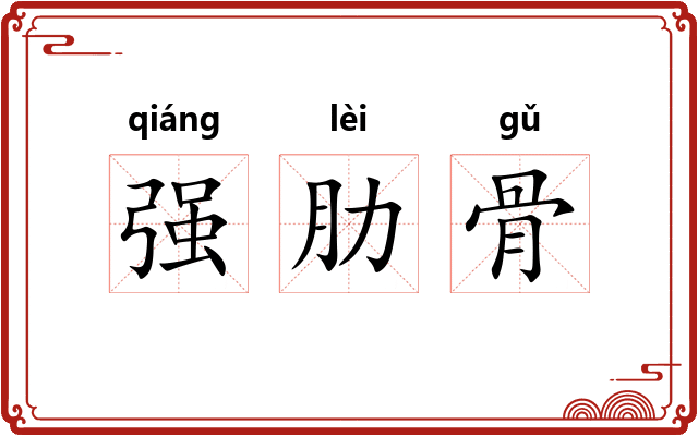 强肋骨 强肋骨