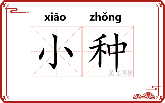 小种 小种