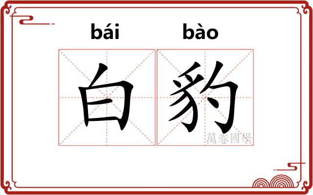 白豹 白豹