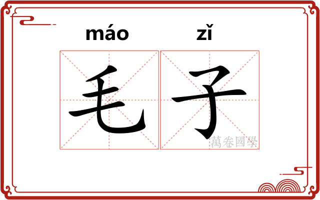 毛子
