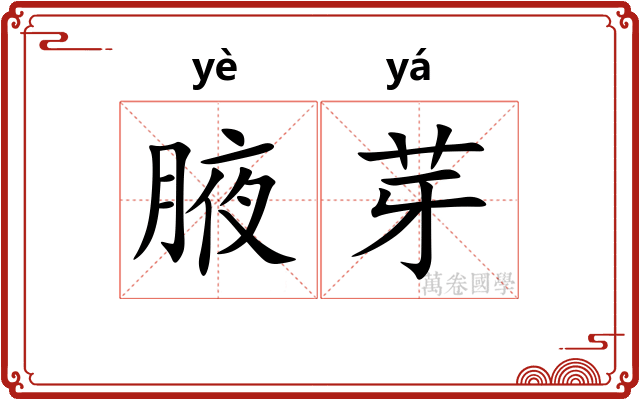 腋芽
