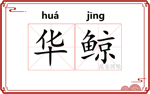 华鲸