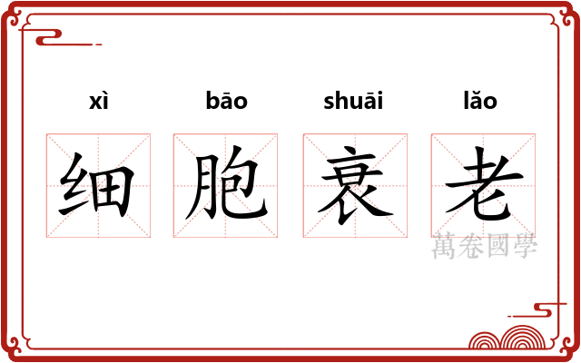 细胞衰老