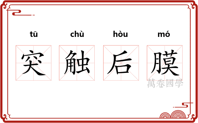突触后膜