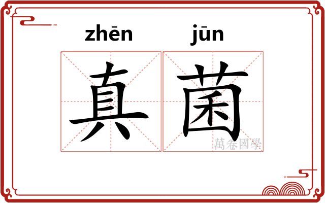 真菌