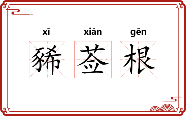 豨莶根