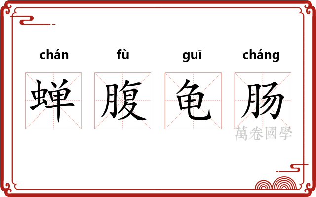 蝉腹龟肠 蝉腹龟肠
