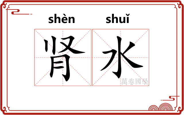 肾水