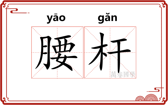 腰杆