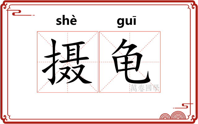 摄龟